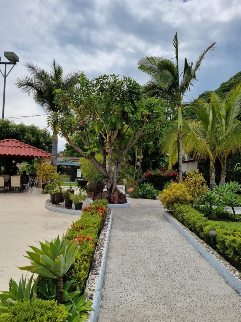 Jardines de la planta baja